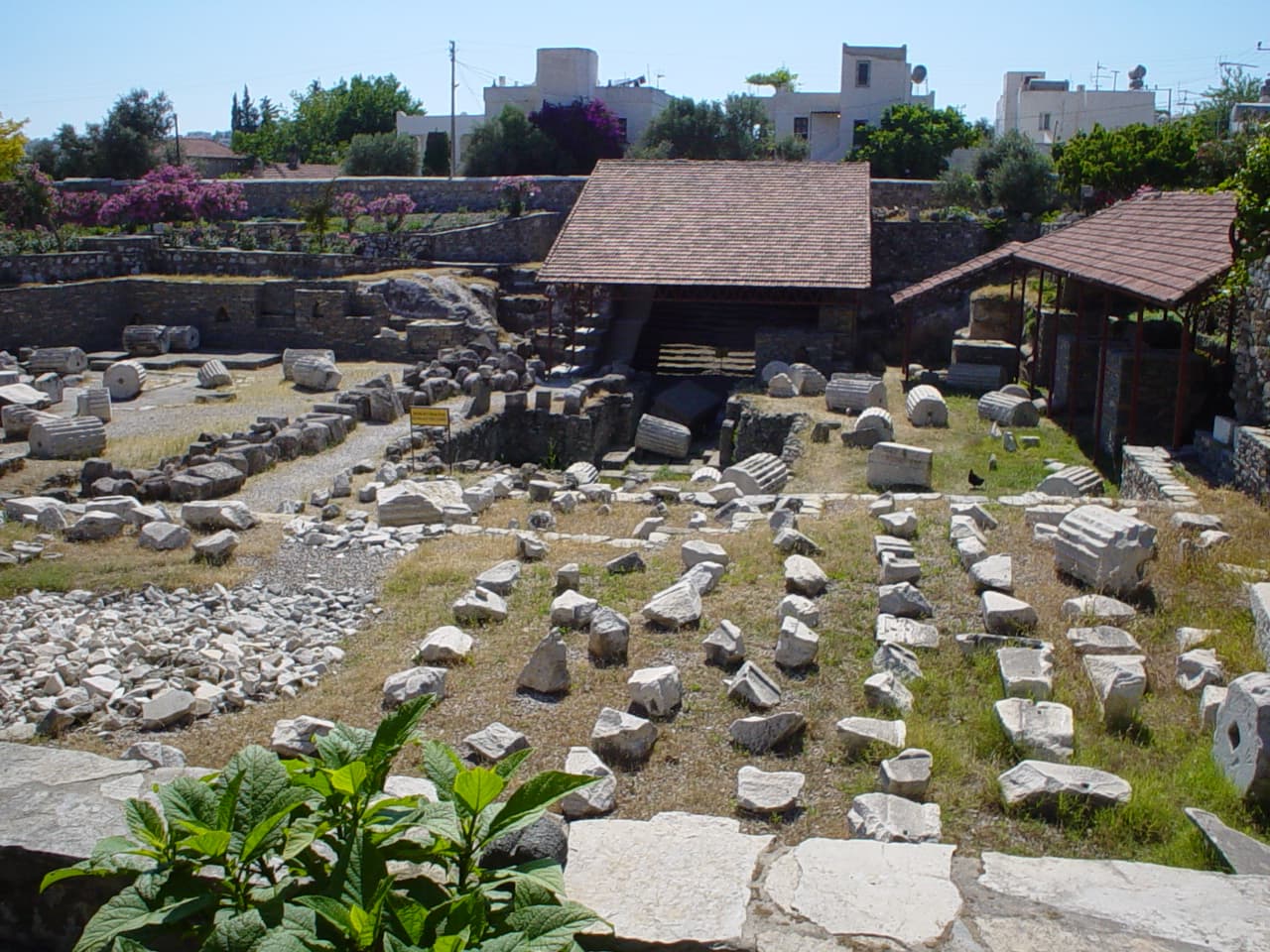 Mausolos'un Halikarnassos'u