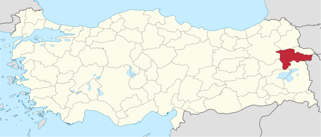 Diyadin (opsiyonel kaplıca)