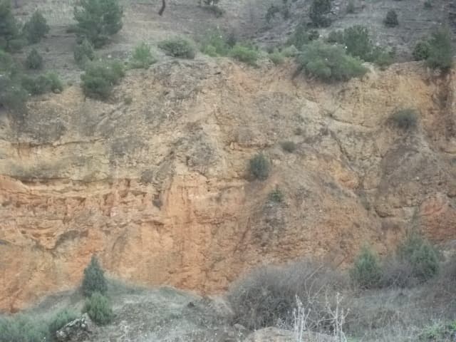 Merkez (Çorum)