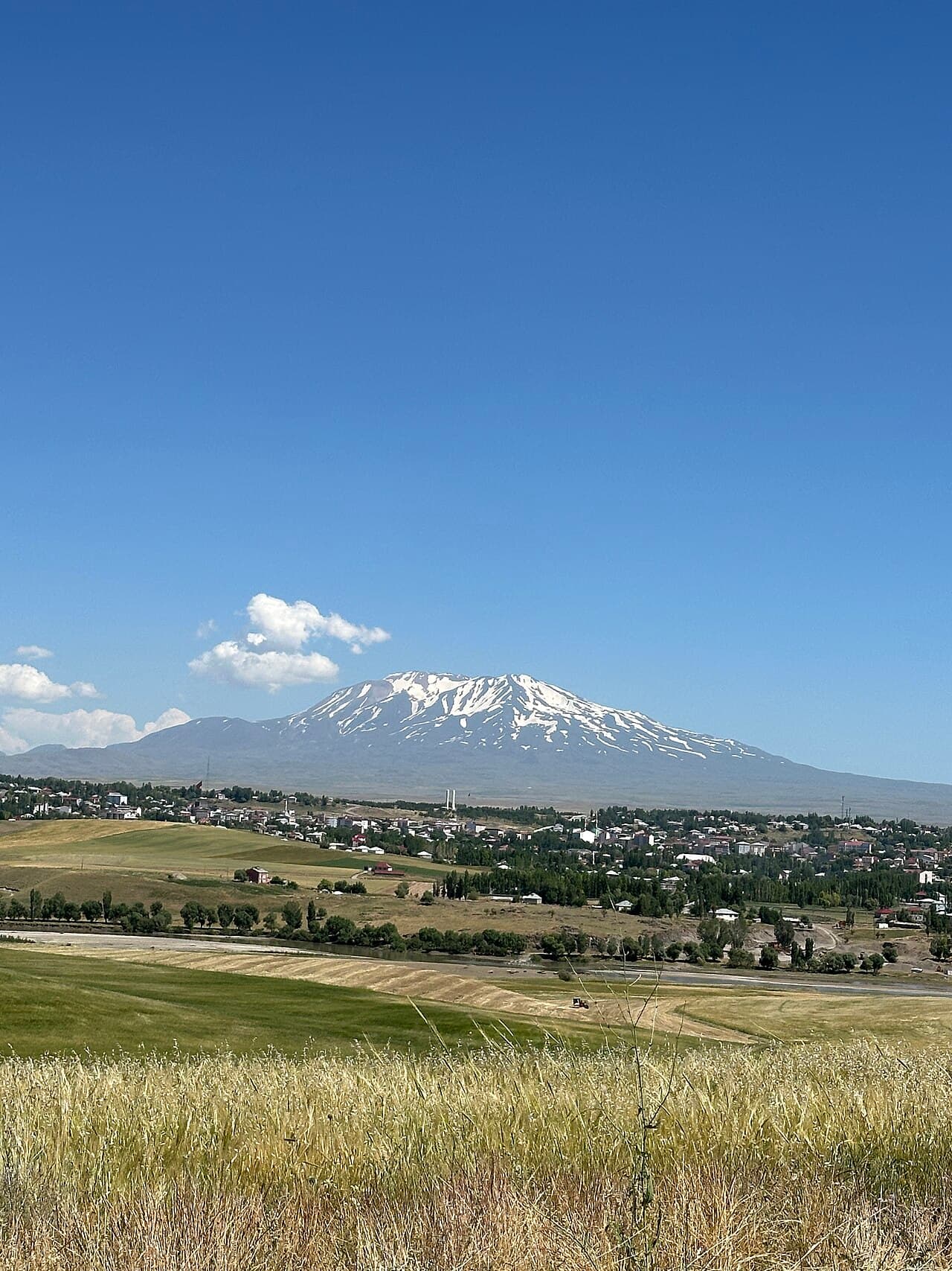 Malazgirt Kalesi