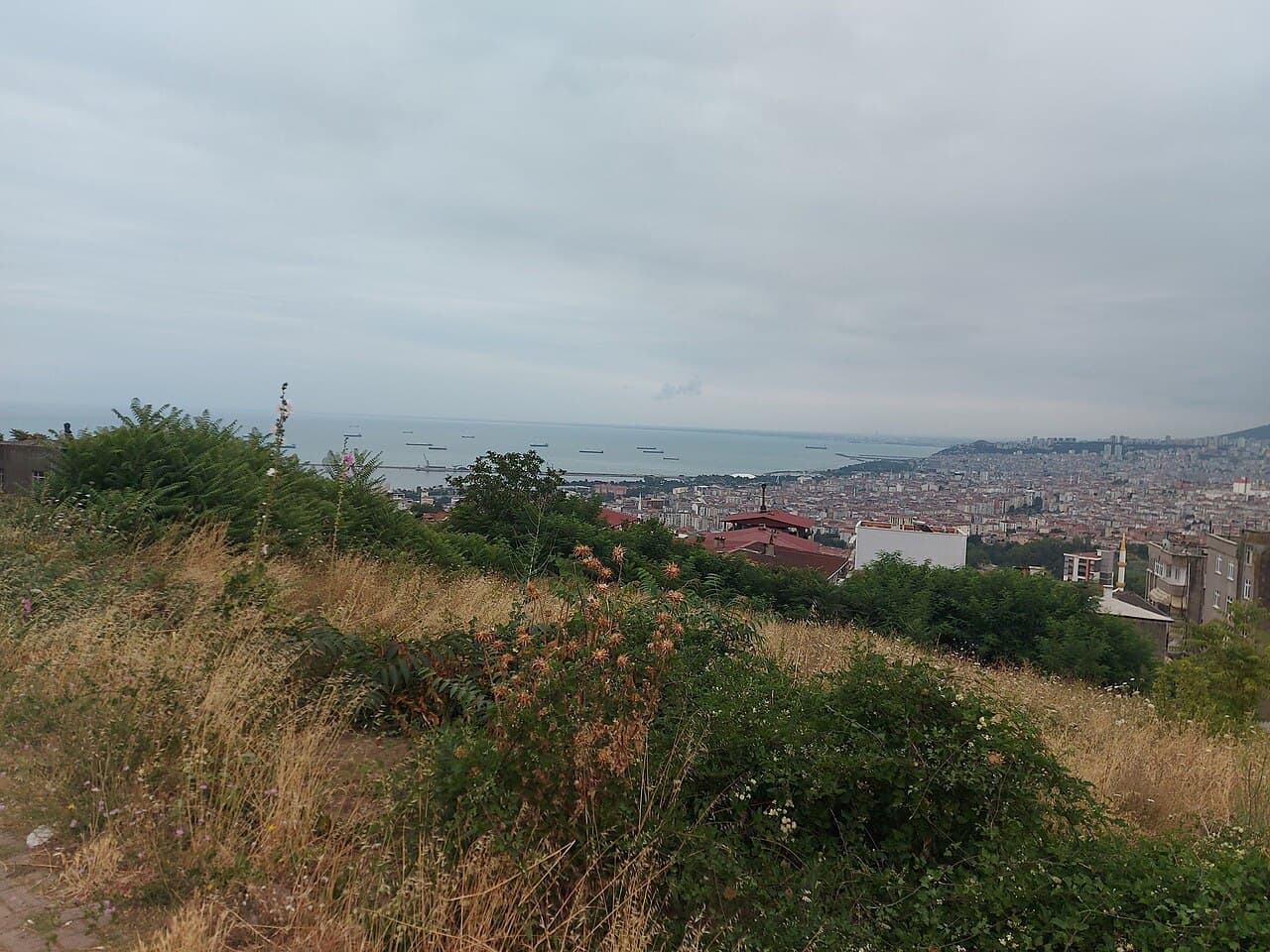 Giresun - Samsun