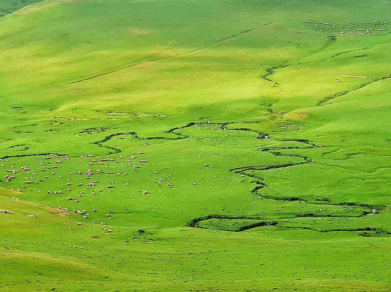 Perşembe Yaylası (Aybastı)