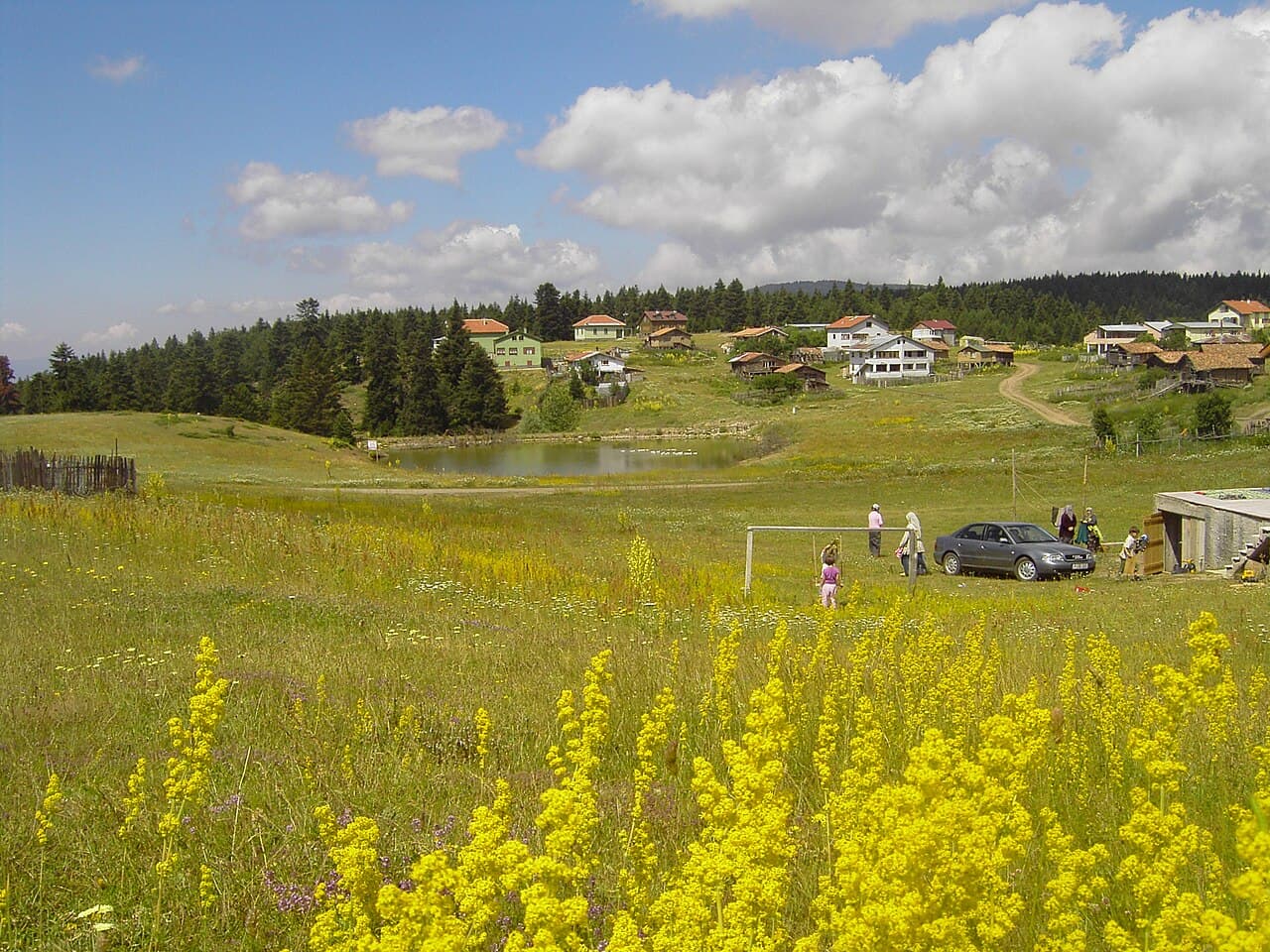Gerede
