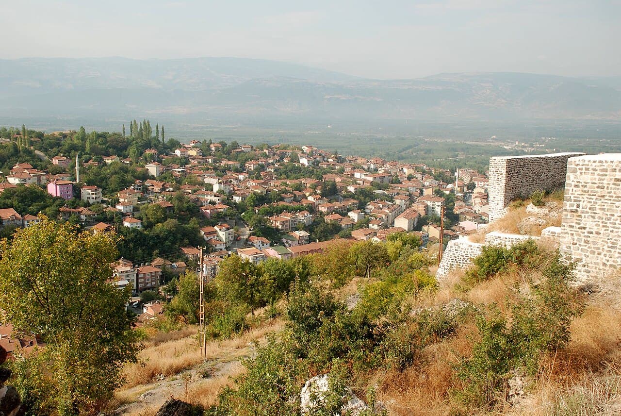 Niksar (Opsiyonel)