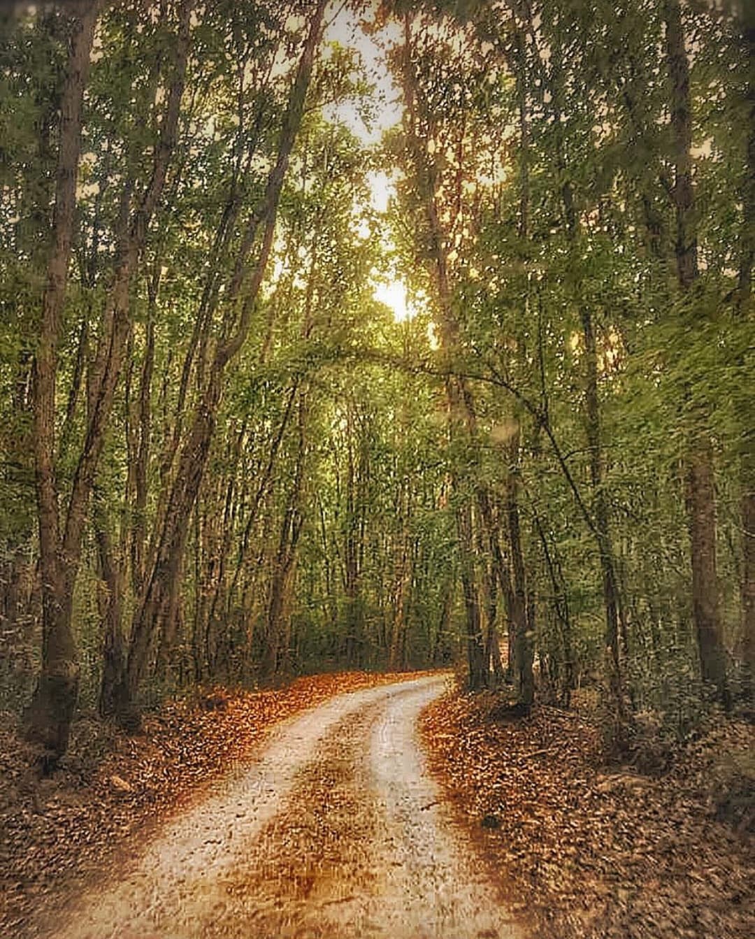 Kırklareli