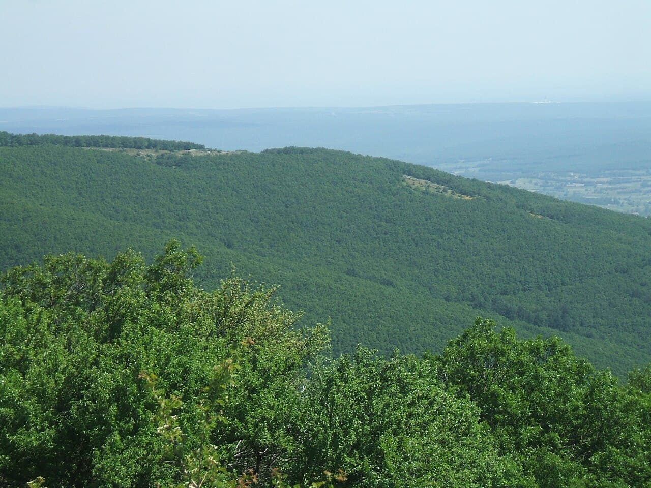 Yıldız (Istranca) Dağları