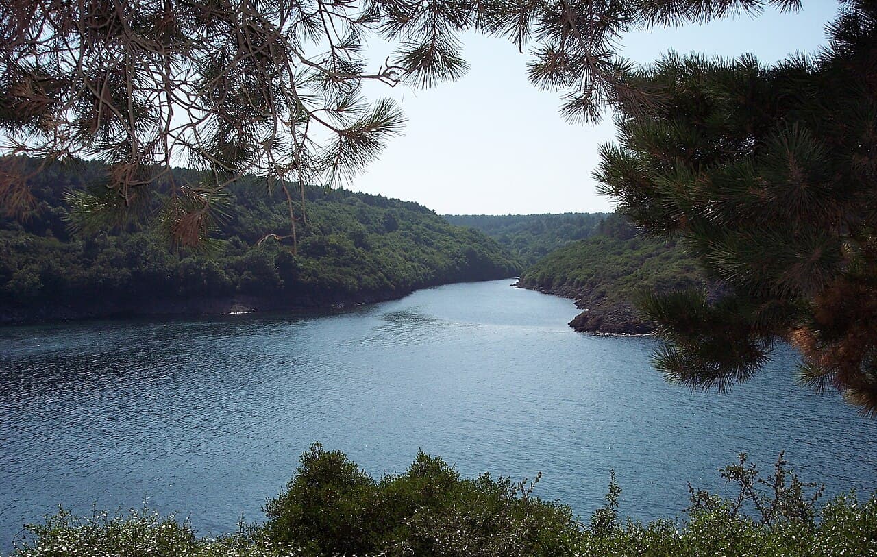 Hamsilos Koyu