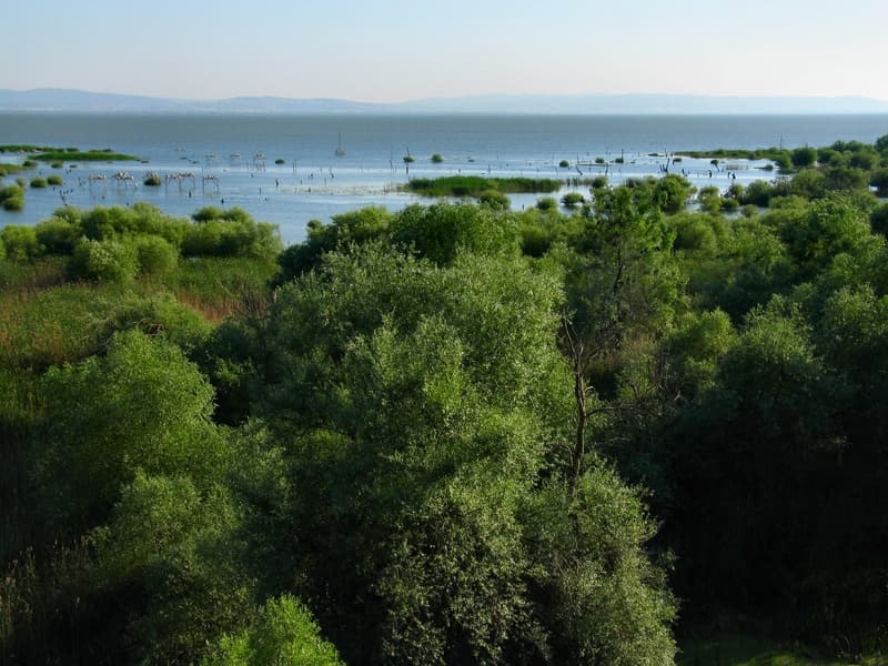Manyas Kuş Cenneti (Ramsar 1994)