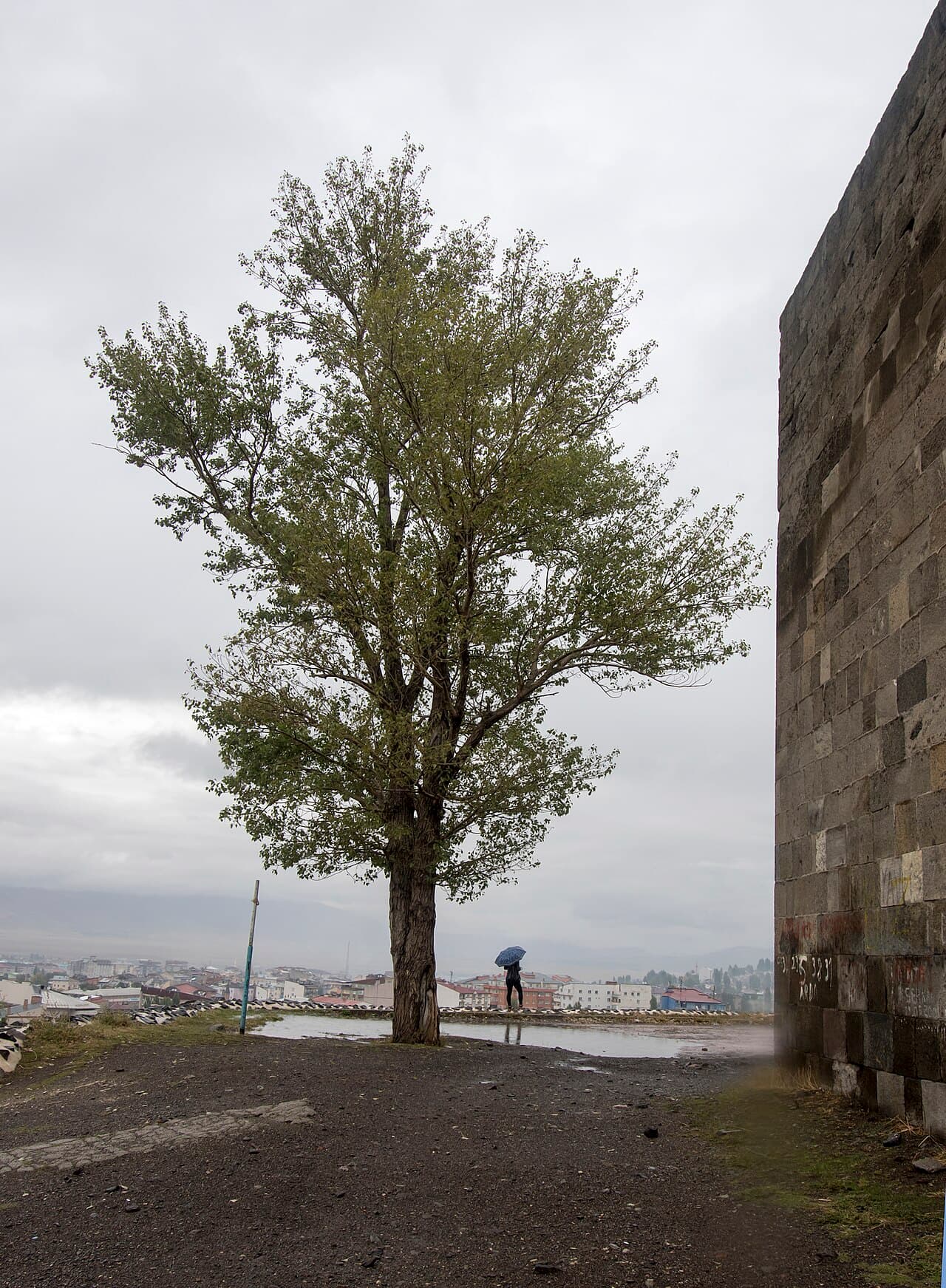 Erzurum Kalesi (Theodosiopolis)