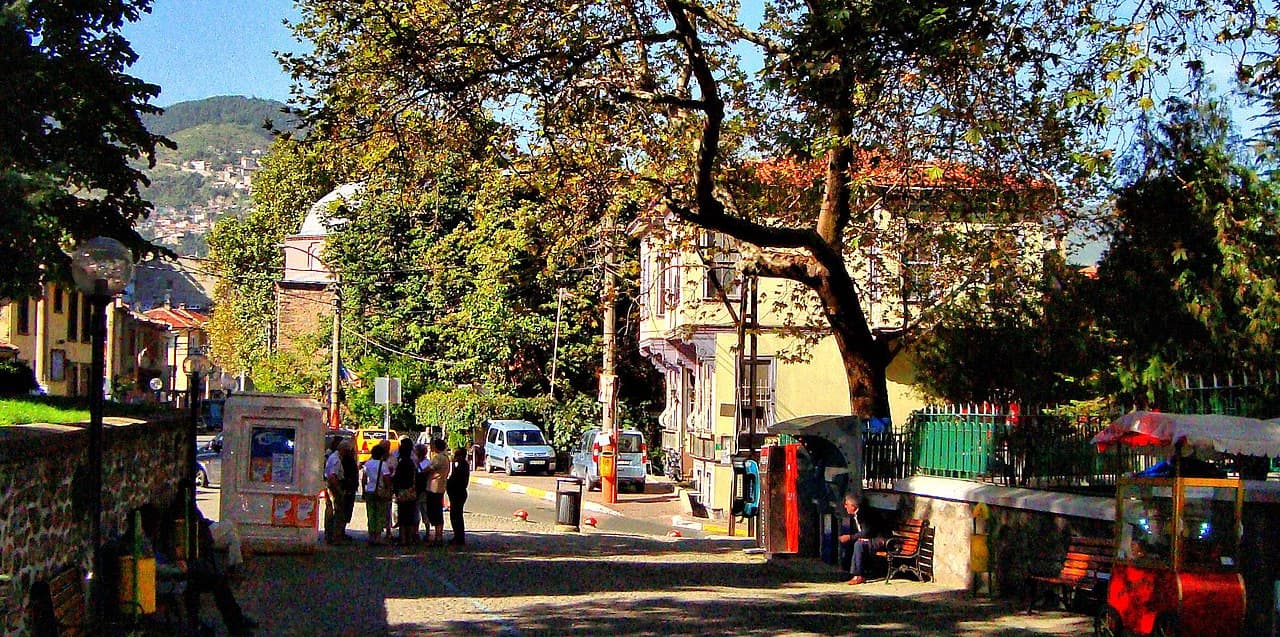 Bursa