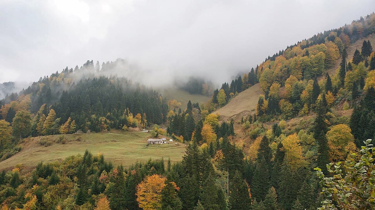 Hamsiköy (Maçka — Sütlaç Köyü)