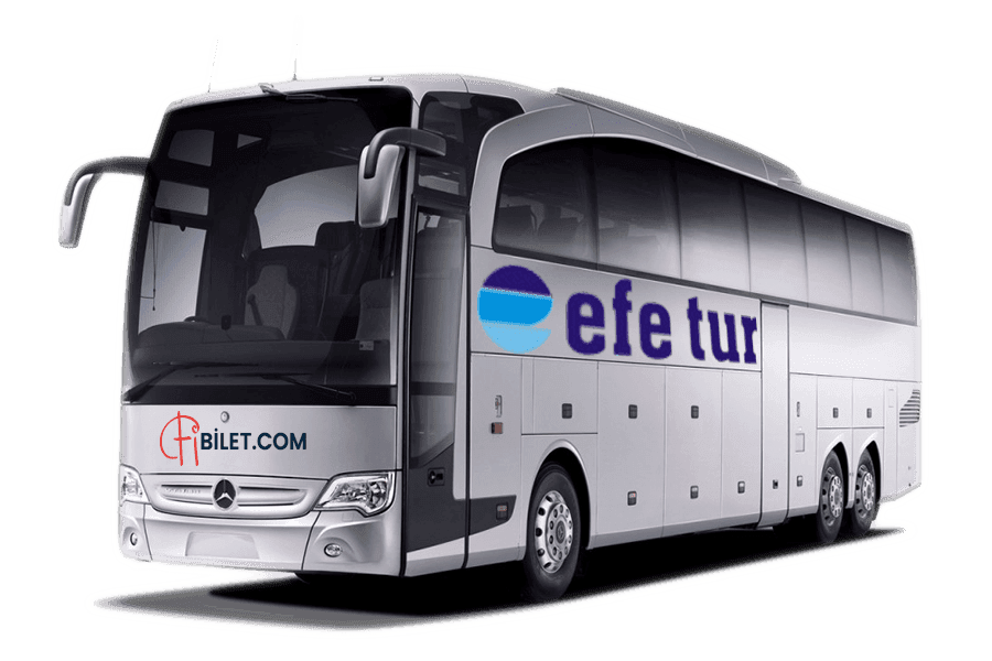 Efe Tur Hakkında