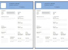 Türkçe CV Örneği