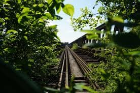 Ormandan Geçen Tren Yolları