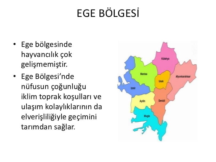 Ege Bölgesi Özellikleri