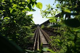 Ormandan Geçen Tren Yolları