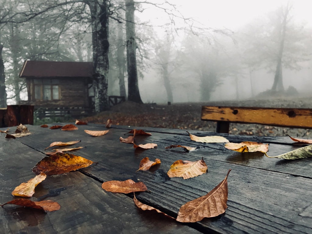 Kartepe Resimleri
