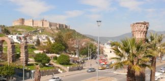 Selçuk Genel Bakış