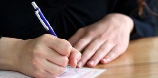 Yabancı Ziyaretçiler Anketi 2001