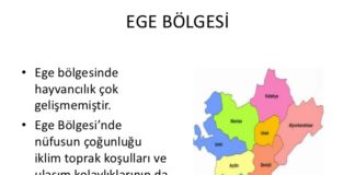 Ege Bölgesi Özellikleri