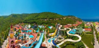 Seyahat Acentalarının Sayısı