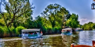 Ağva Resimleri – Yeni