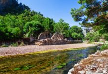 Olimpos Resimleri – Antalya