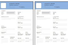 Türkçe CV Örneği