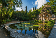 Atatürk Arboretumu Fotoğrafları