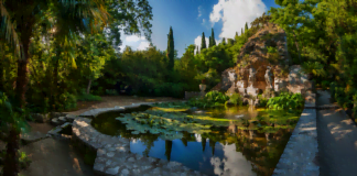 Atatürk Arboretumu Fotoğrafları