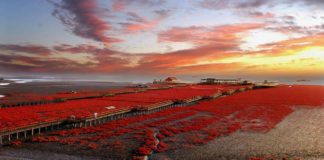 Dünyanın En Gizemli Yerleri