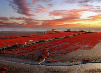 Dünyanın En Gizemli Yerleri