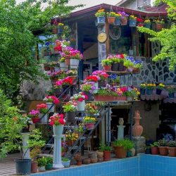 Türkiye’nin En Güzel 5 Ekolojik Tatil Köyü