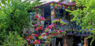 Türkiye’nin En Güzel 5 Ekolojik Tatil Köyü