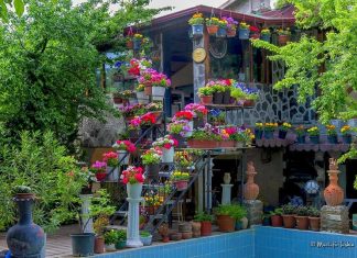 Türkiye’nin En Güzel 5 Ekolojik Tatil Köyü