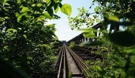 Ormandan Geçen Tren Yolları