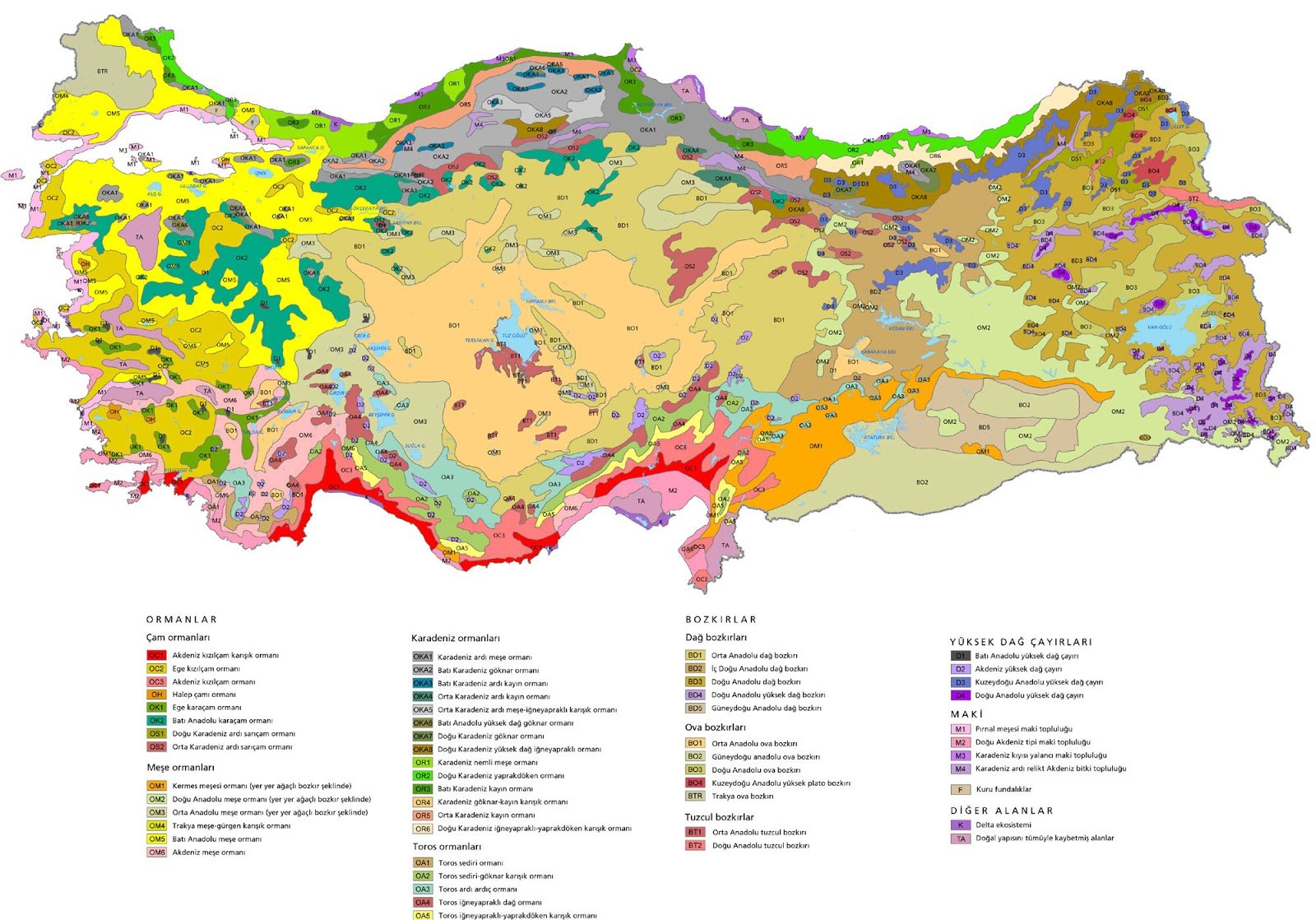 Türkiye Bitki ve Orman Haritası - Tatil Rehberi