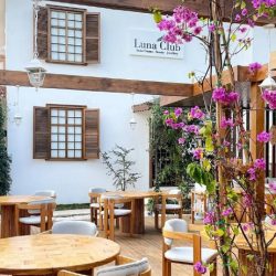 Luna Club İncelemesi