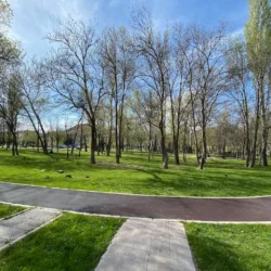 Kılıçaslan Parkı Piknik Alanı